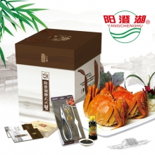 498型-阳澄湖牌有机大闸蟹